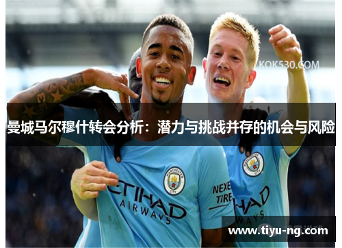 曼城马尔穆什转会分析：潜力与挑战并存的机会与风险