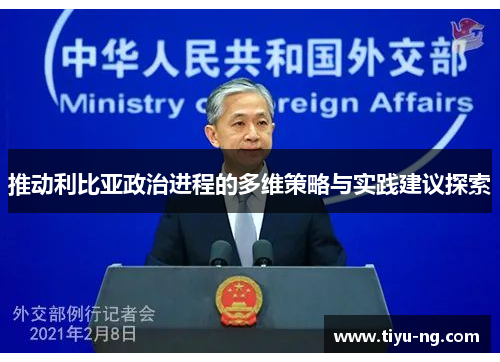 推动利比亚政治进程的多维策略与实践建议探索