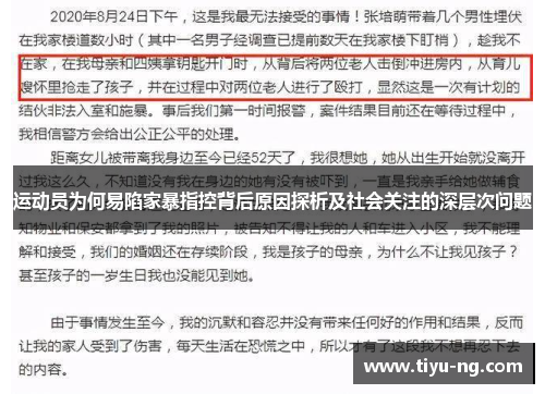 运动员为何易陷家暴指控背后原因探析及社会关注的深层次问题