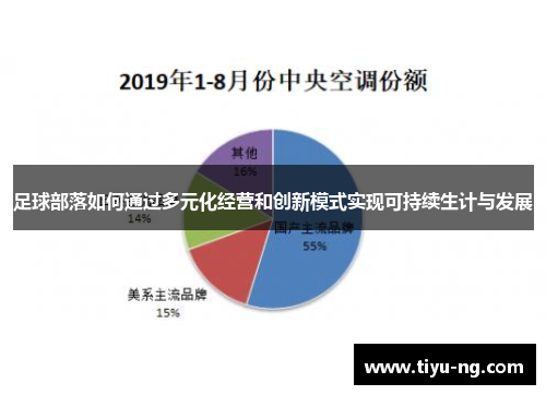 足球部落如何通过多元化经营和创新模式实现可持续生计与发展