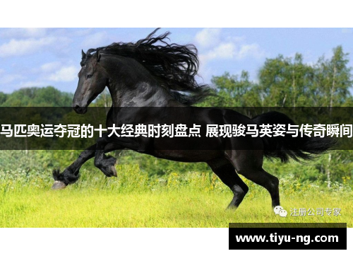 马匹奥运夺冠的十大经典时刻盘点 展现骏马英姿与传奇瞬间
