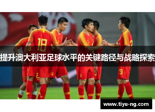 提升澳大利亚足球水平的关键路径与战略探索